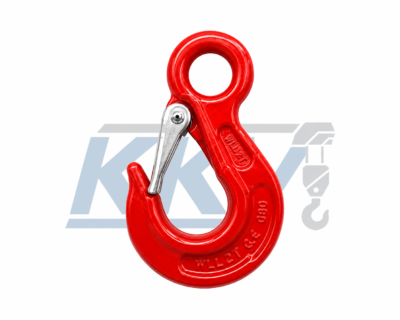Eye Hook With Latch