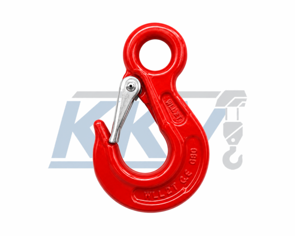 Eye Hook With Latch